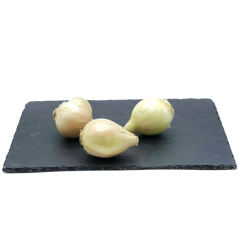 Oignon doux des Cevennes 500g, France